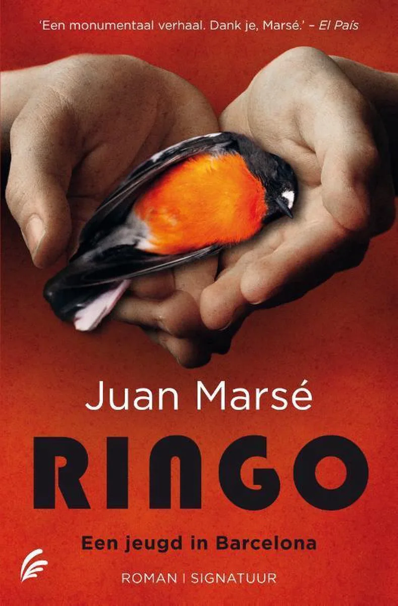 Ringo von Signatuur – Buchfoto