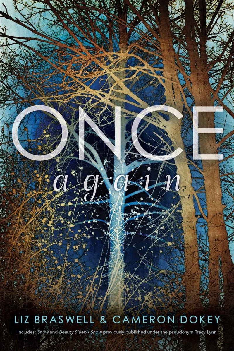Once Again van Simon Pulse – boekfoto
