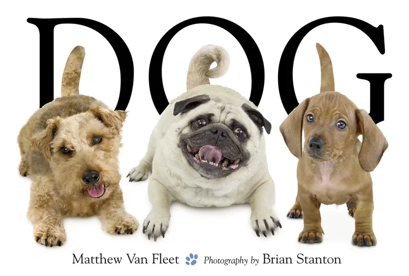Dog von Simon & Schuster Children's – Buchfoto