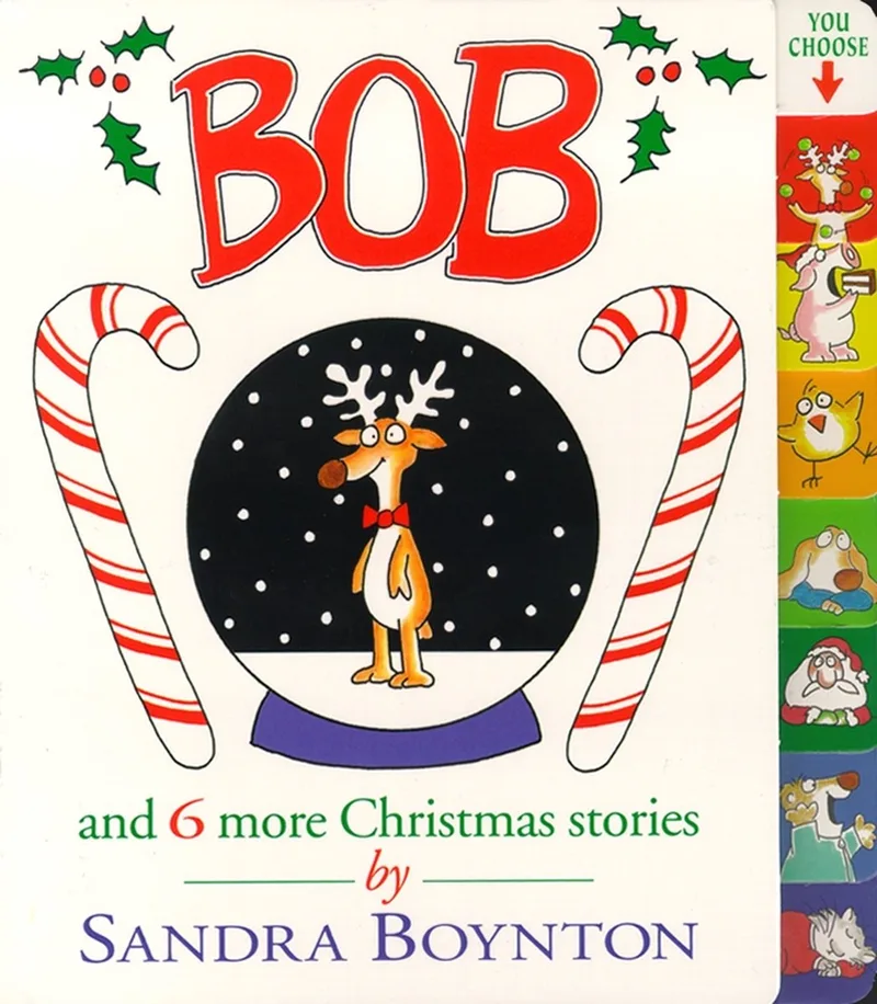 Bob van Simon & Schuster – boekfoto