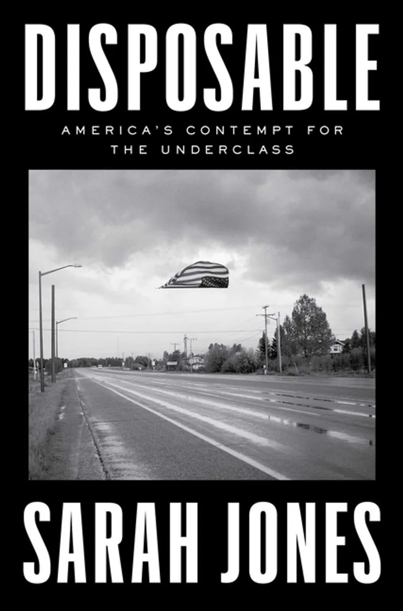 Disposable de Simon & Schuster – photo du livre