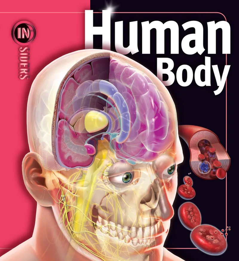 Human Body von Simon & Schuster – Buchfoto