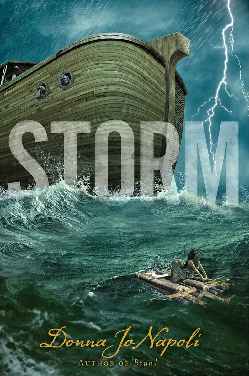 Storm by Simon & Schuster – book photo