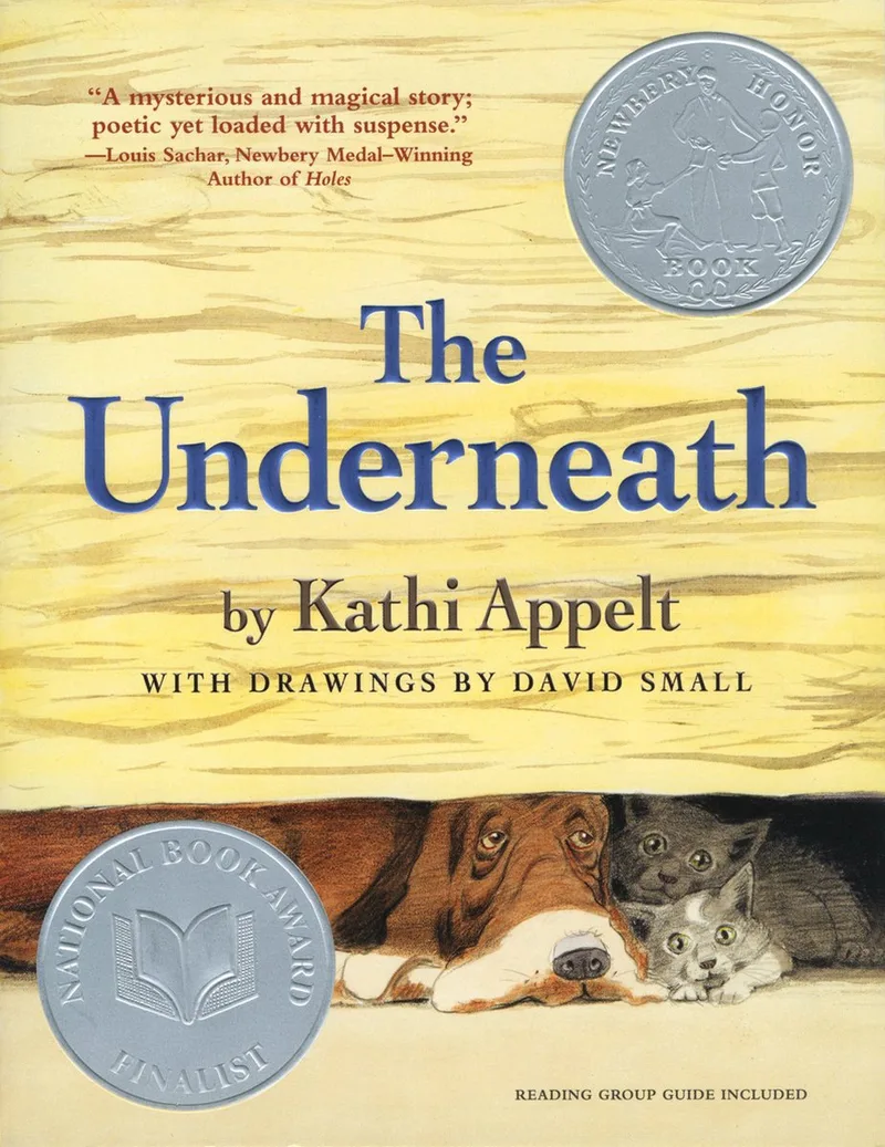 The Underneath de Simon & Schuster – photo du livre
