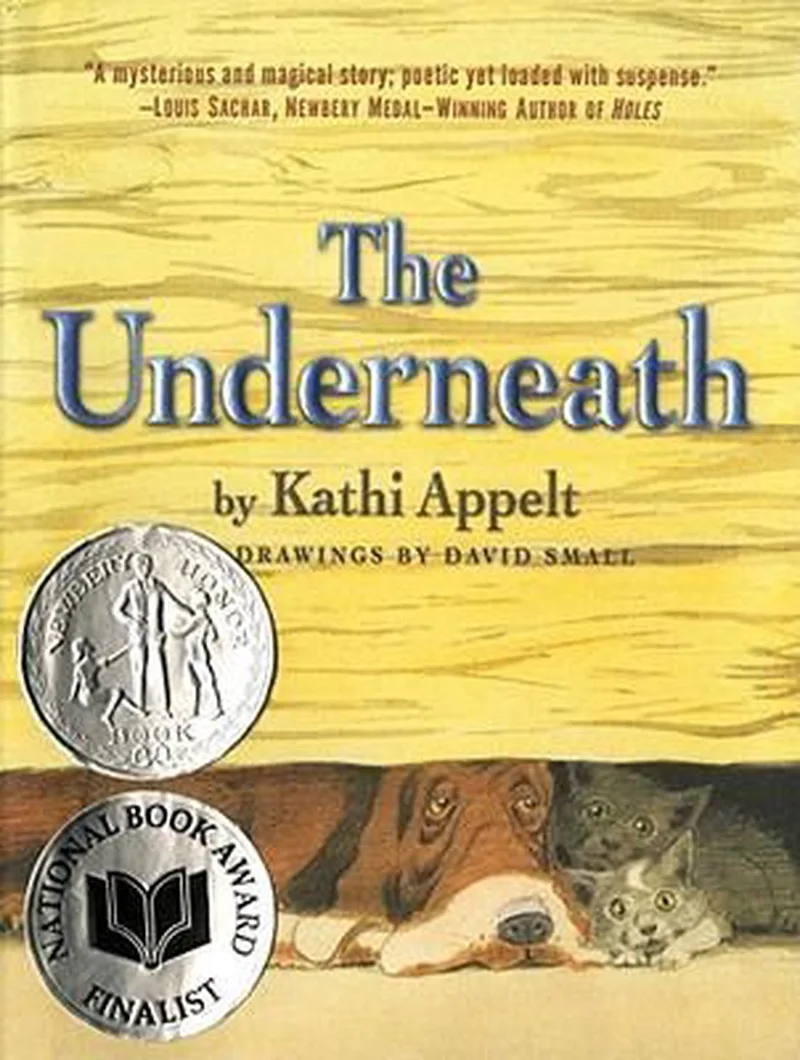 The Underneath van Simon & Schuster – boekfoto