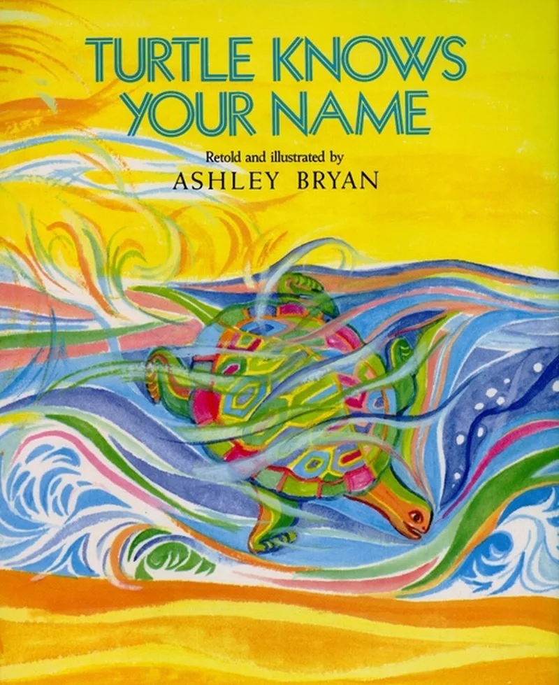 Turtle Knows Your Name fra Simon & Schuster – billede af bogen