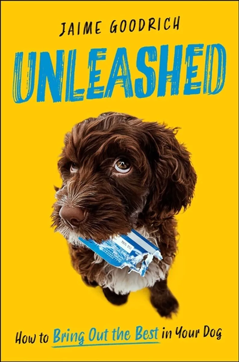 Unleashed by Simon & Schuster – book photo
