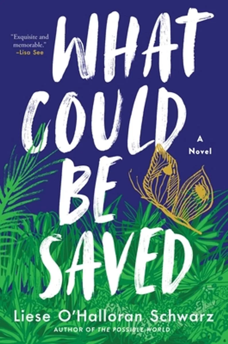 What Could Be Saved von Simon & Schuster – Buchfoto