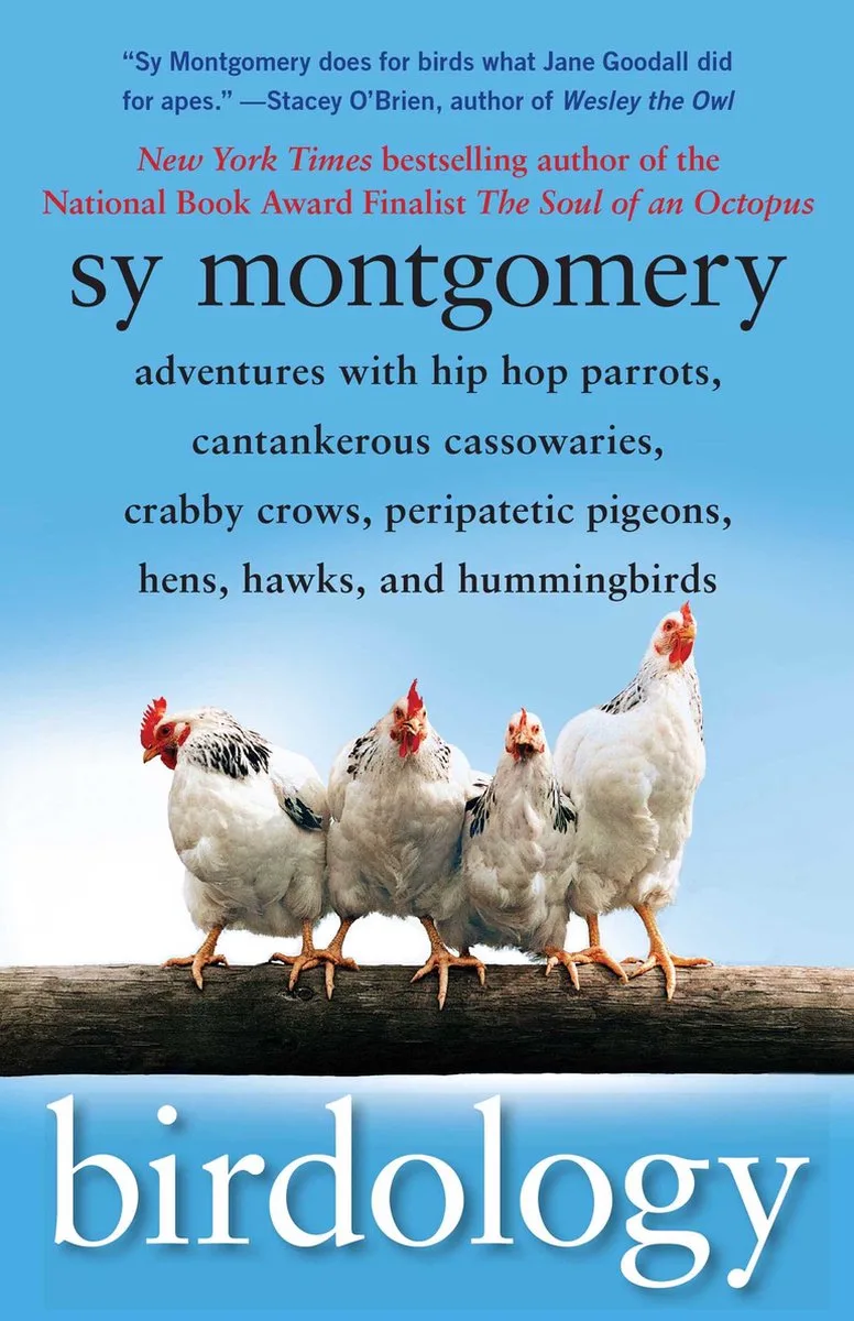 Birdology by Simon Spotlight – book photo