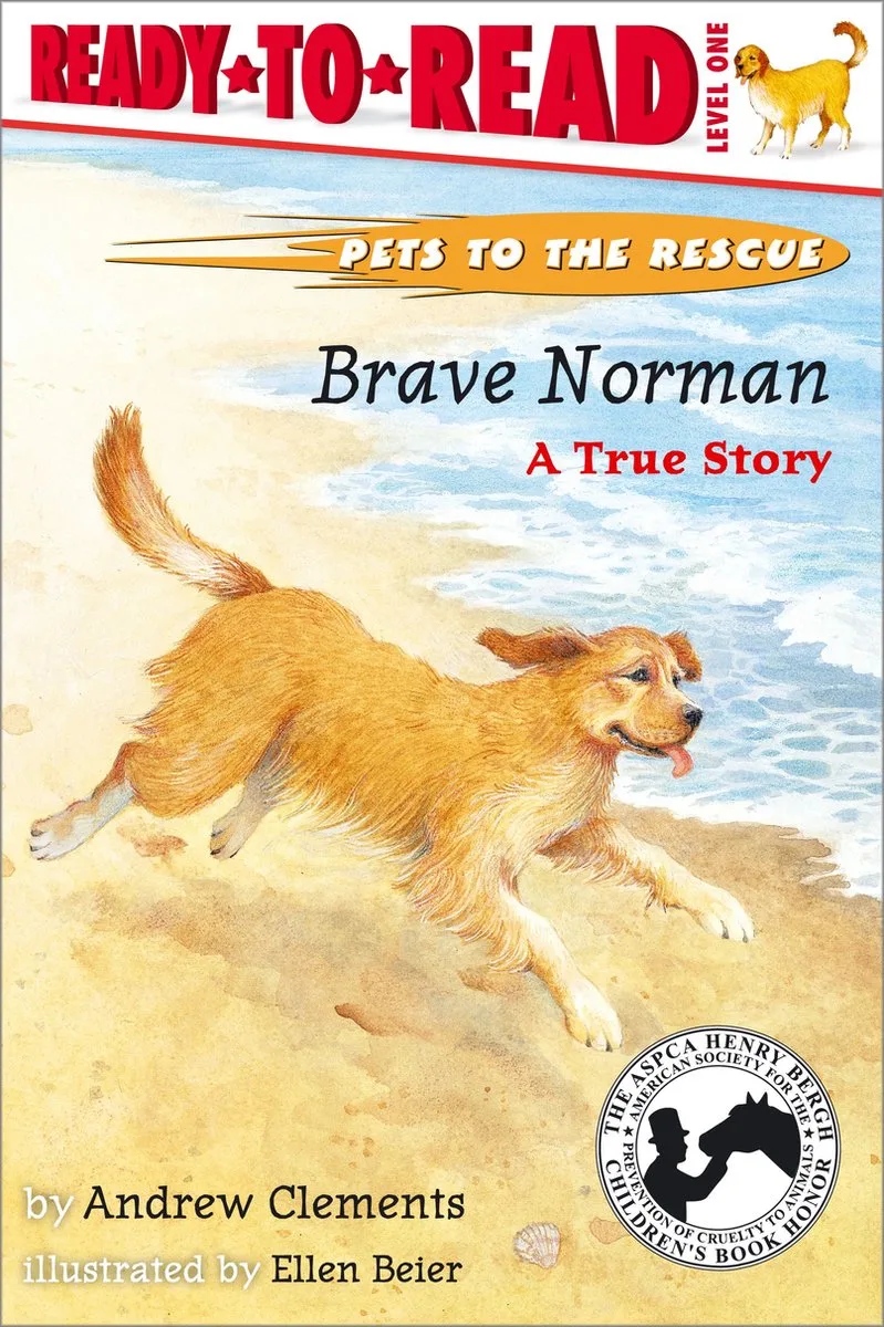 Brave Norman von Simon Spotlight – Buchfoto
