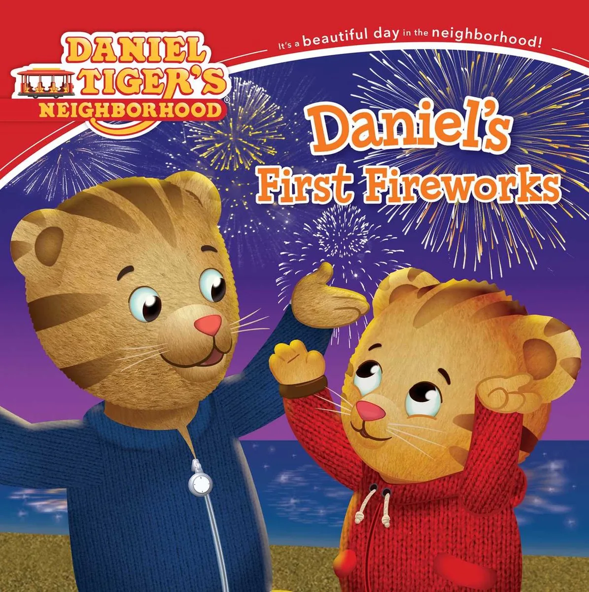 Daniel's First Fireworks von Simon Spotlight – Buchfoto
