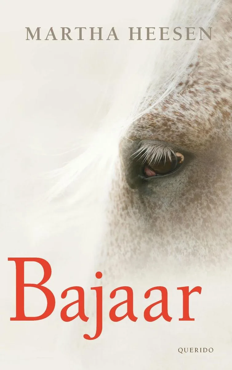 Bajaar fra Singel – billede af bogen