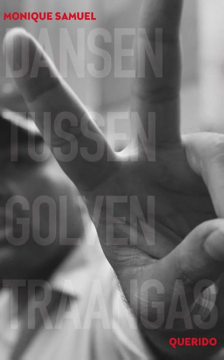 Dansen tussen golven traangas von Singel – Buchfoto