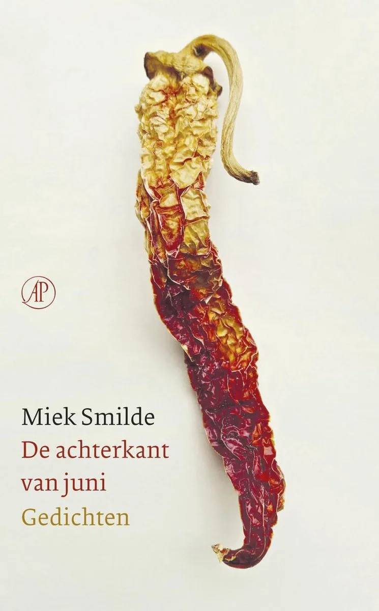 De achterkant van juni von Singel – Buchfoto