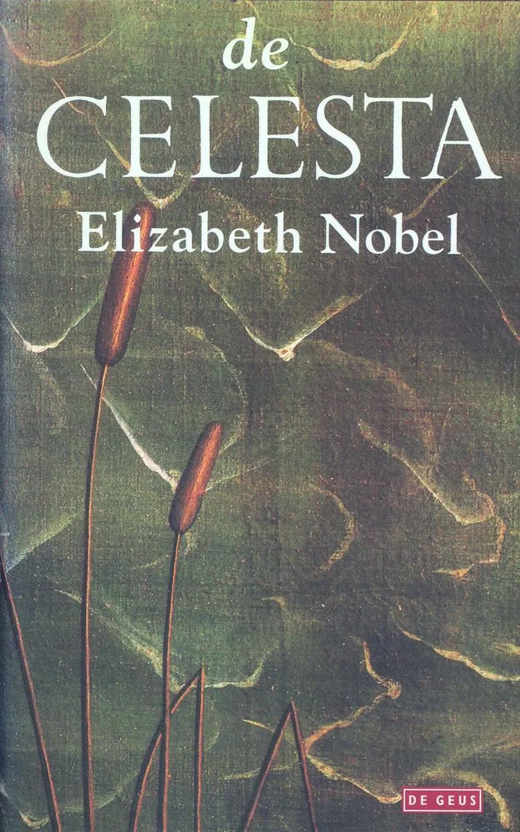 De celesta de Singel – photo du livre