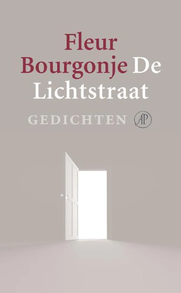 De Lichtstraat de Singel – photo du livre