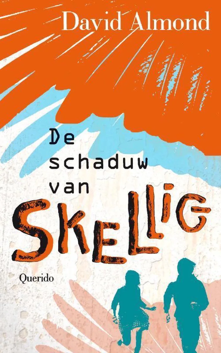 De schaduw van Skellig von Singel – Buchfoto