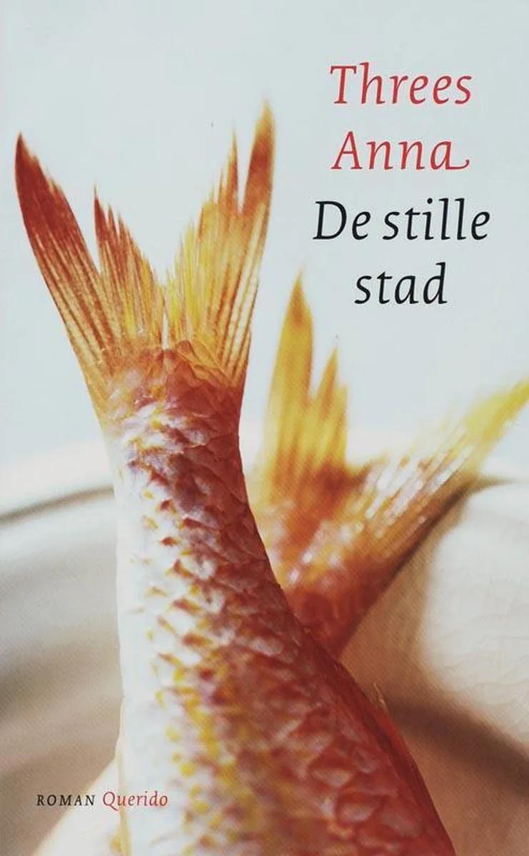 De Stille Stad von Singel – Buchfoto