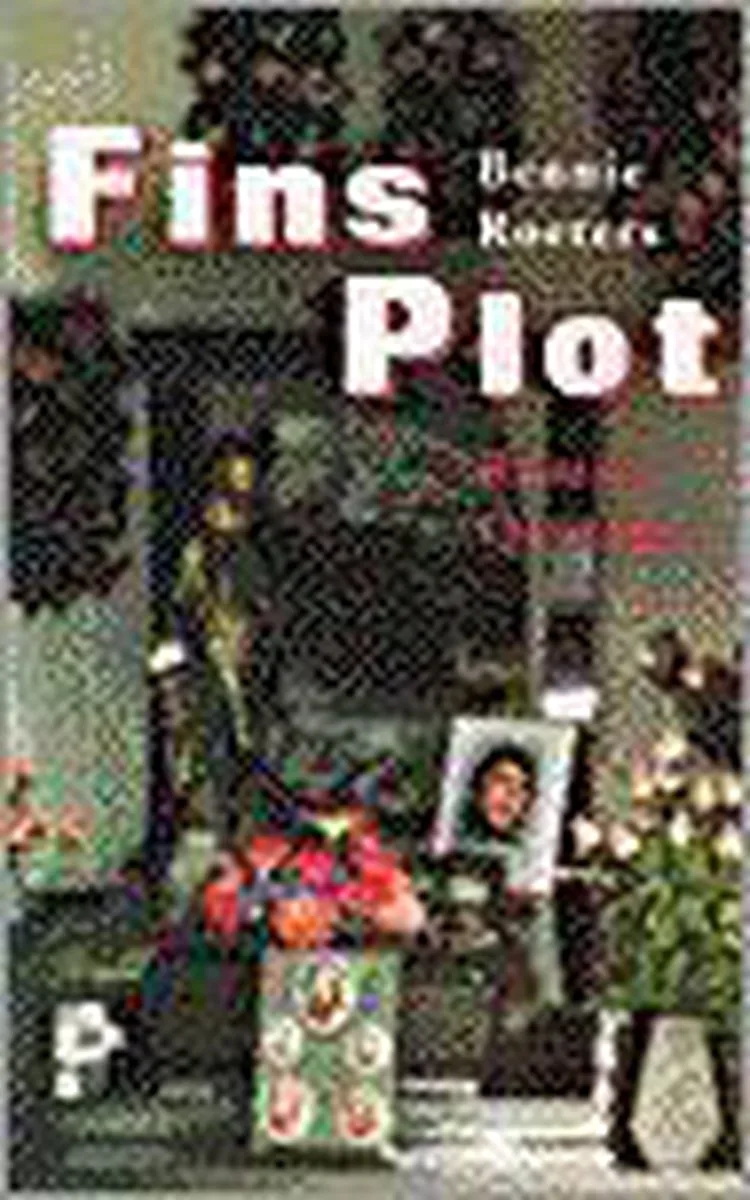 Fins plot von Singel – Buchfoto