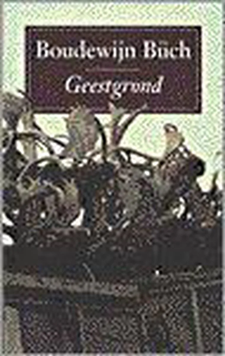 Geestgrond - gb von Singel – Buchfoto