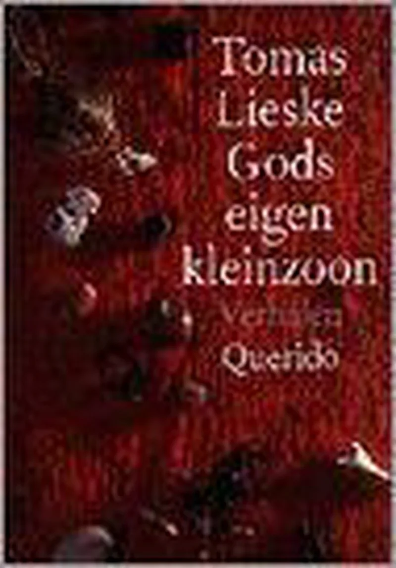 Gods eigen kleinzoon von Singel – Buchfoto