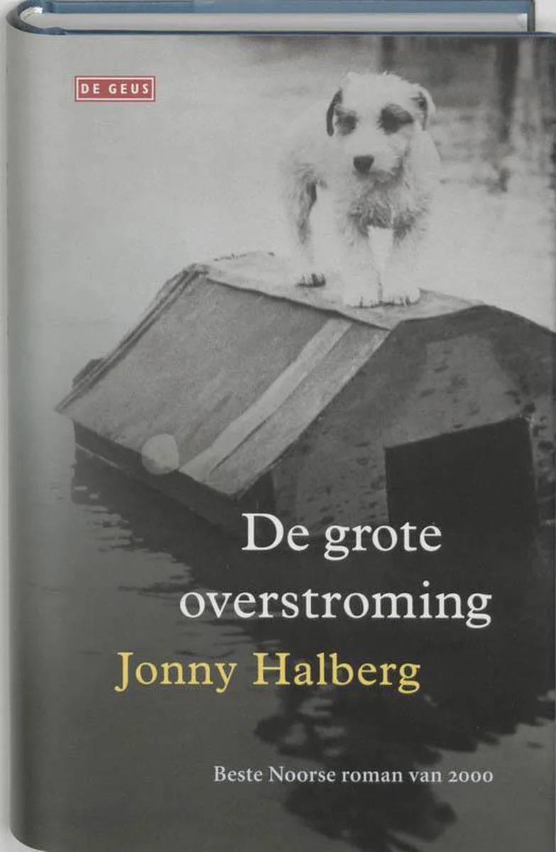 Grote Overstroming von Singel – Buchfoto