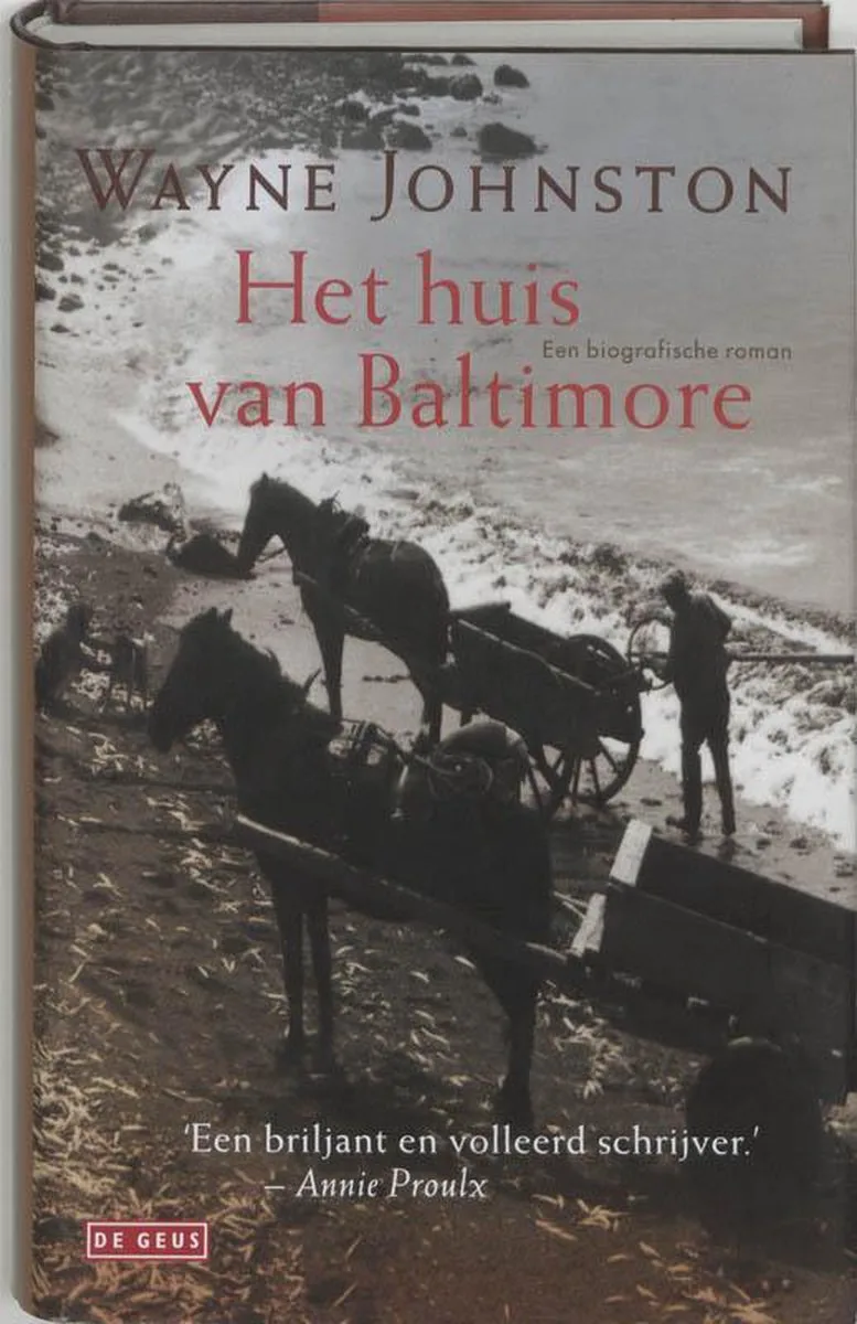 Het huis Van Baltimore von Singel – Buchfoto