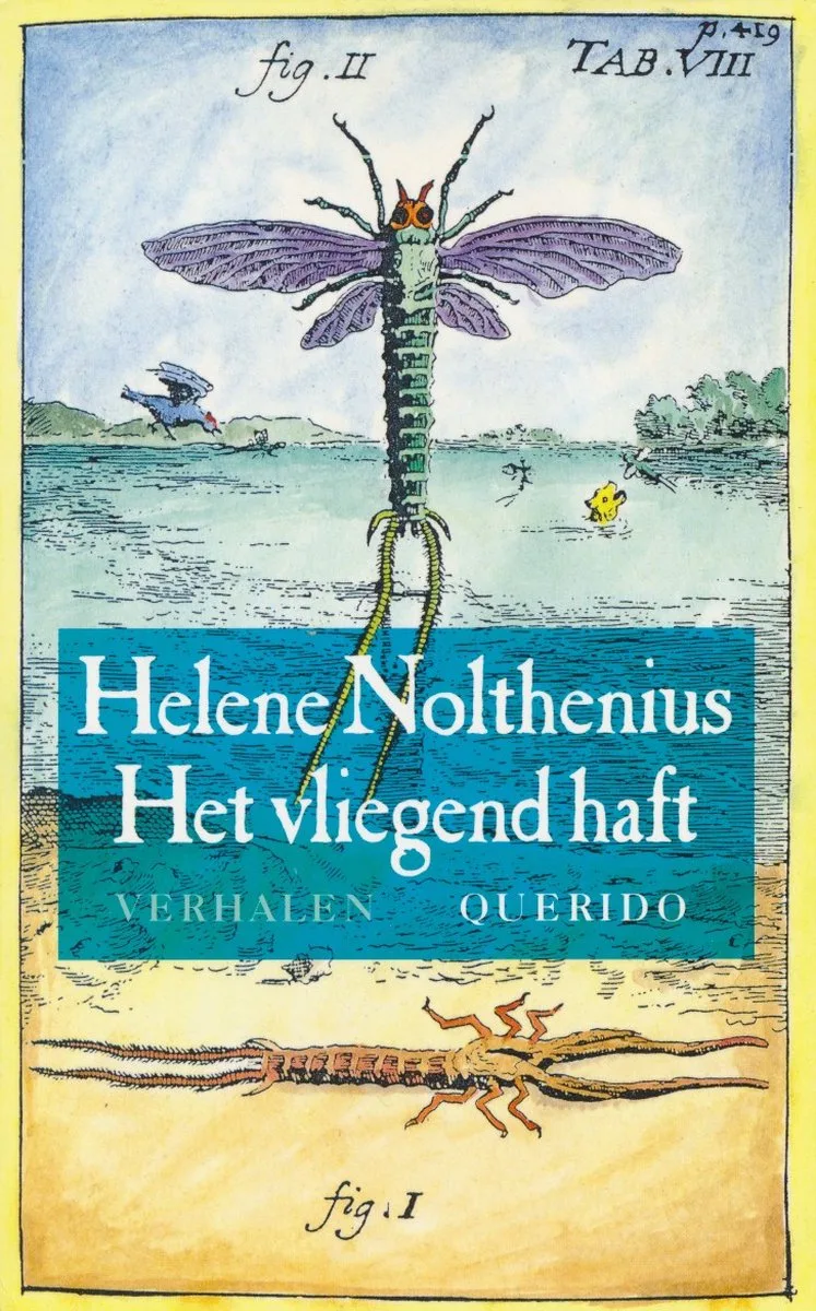 Het vliegend haft fra Singel – billede af bogen