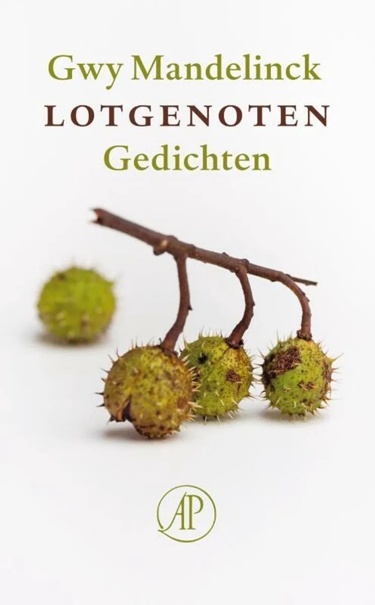 Lotgenoten von Singel – Buchfoto
