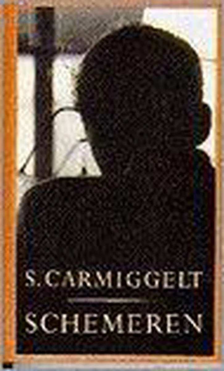 Schemeren (pbk) von Singel – Buchfoto