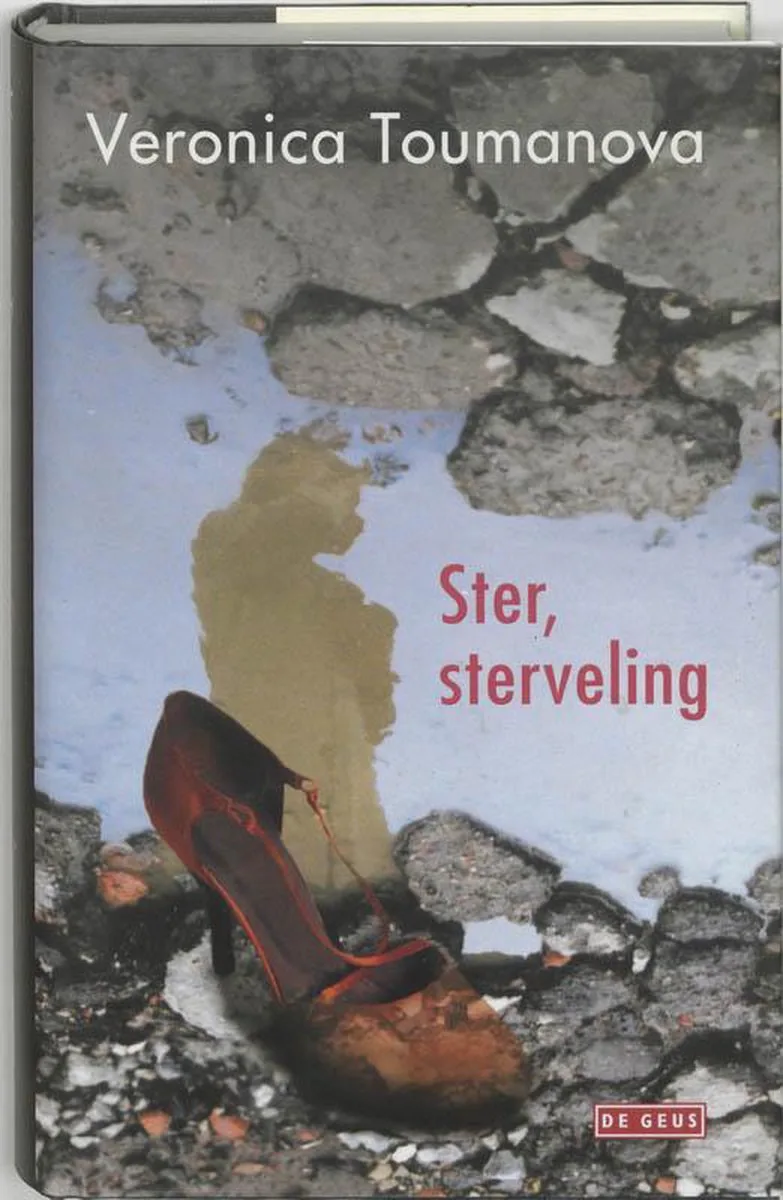 Ster Sterveling von Singel – Buchfoto