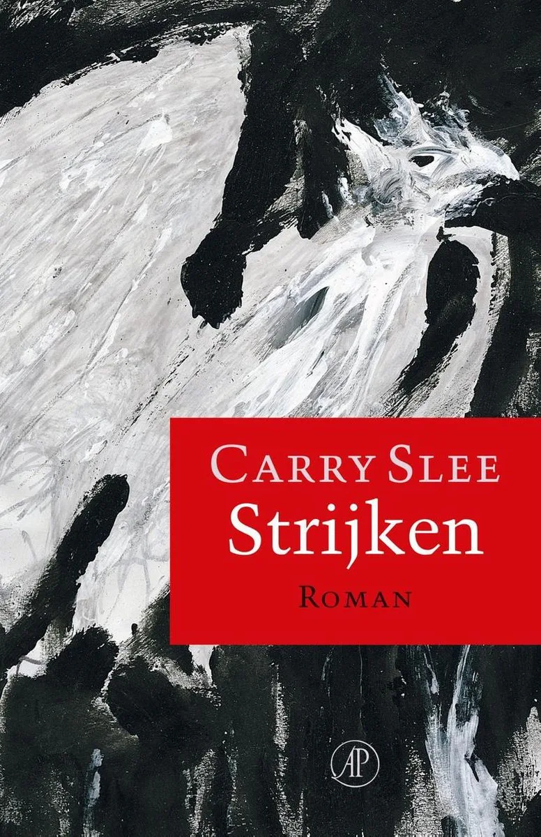 Strijken von Singel – Buchfoto