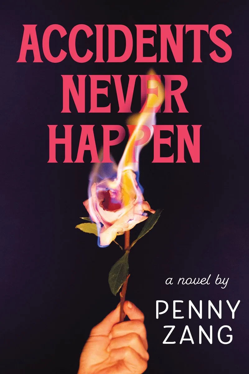 Accidents Never Happen fra Sourcebooks – billede af bogen