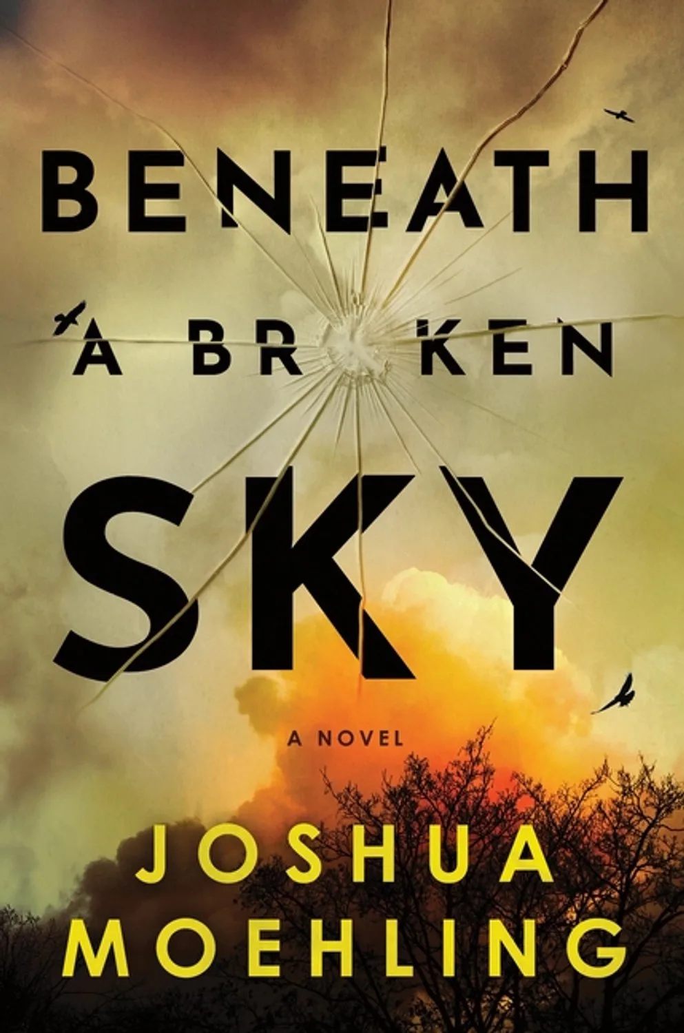 Beneath a Broken Sky de Sourcebooks – photo du livre