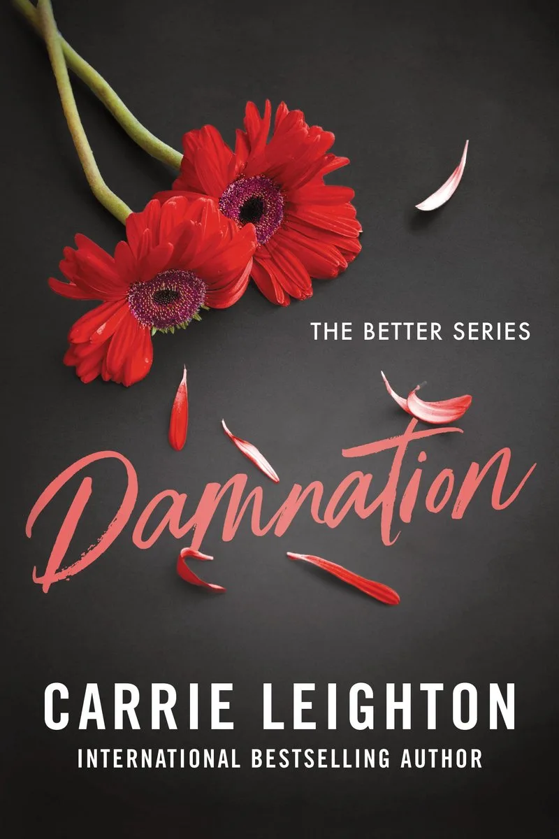 Better- Damnation von Sourcebooks – Buchfoto