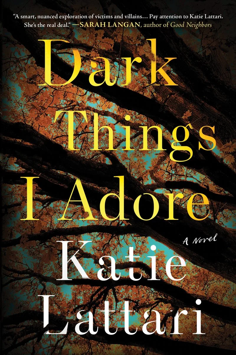 Dark Things I Adore von Sourcebooks – Buchfoto