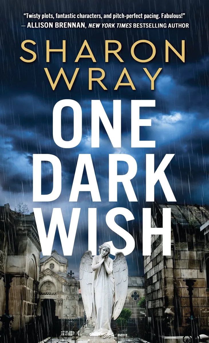 Deadly Force2- One Dark Wish fra Sourcebooks – billede af bogen