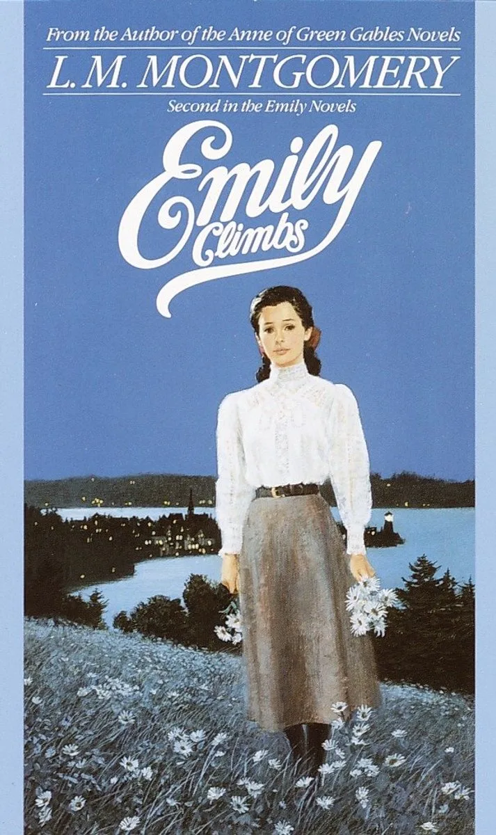 Emily Climbs von Sourcebooks – Buchfoto