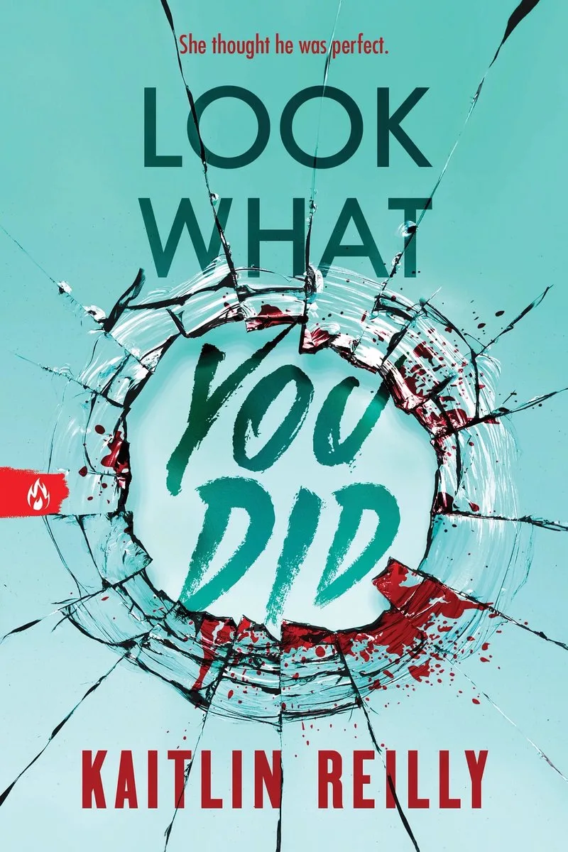 Look What You Did von Sourcebooks – Buchfoto