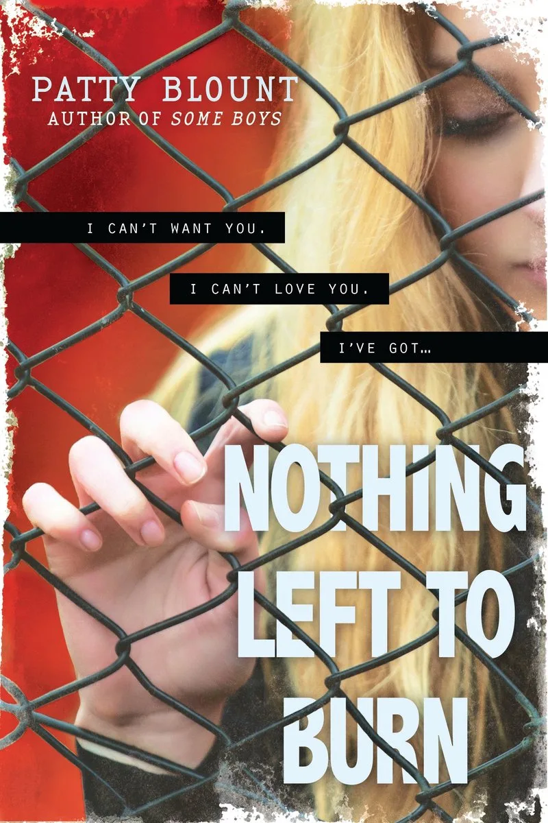 Nothing Left to Burn van Sourcebooks – boekfoto