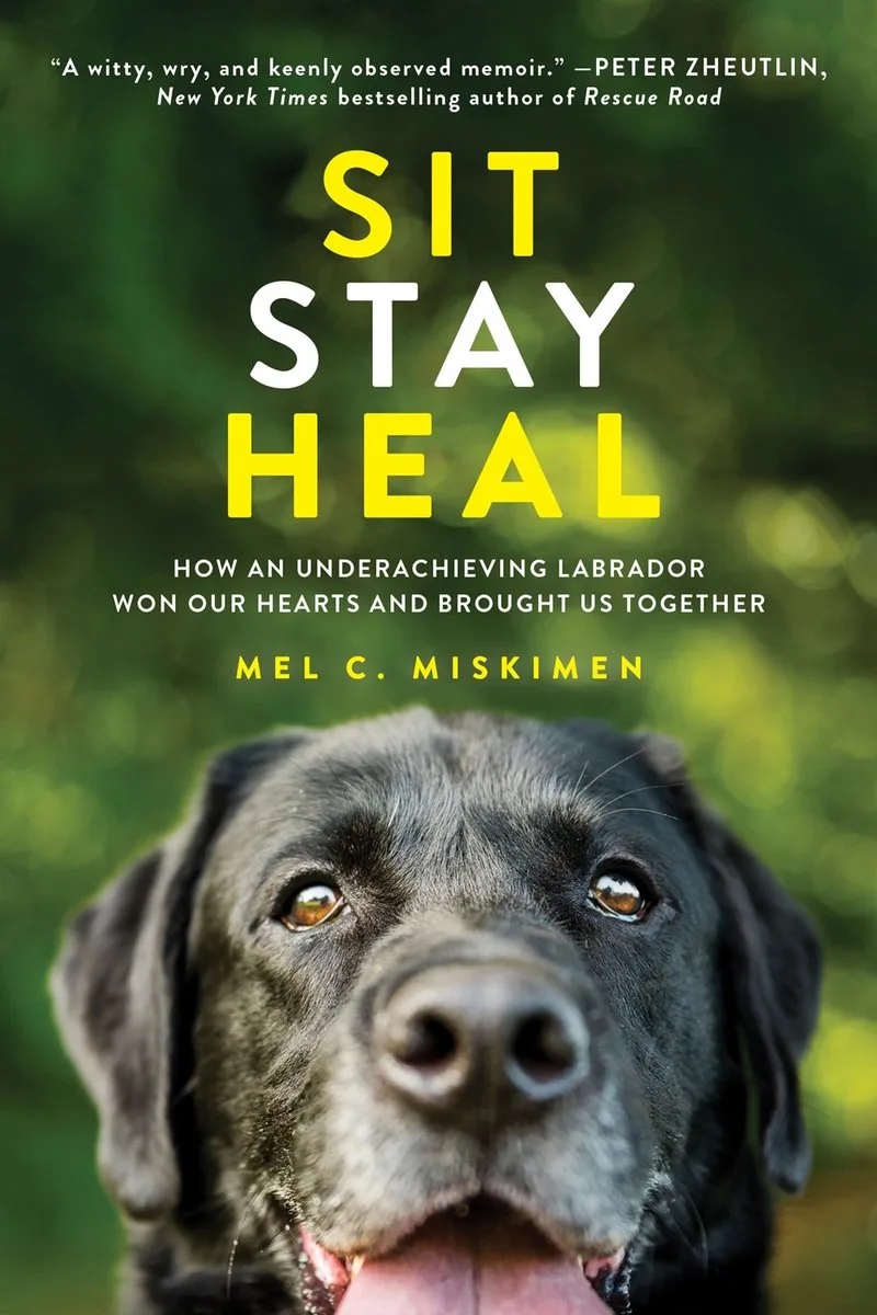 Sit Stay Heal von Sourcebooks – Buchfoto