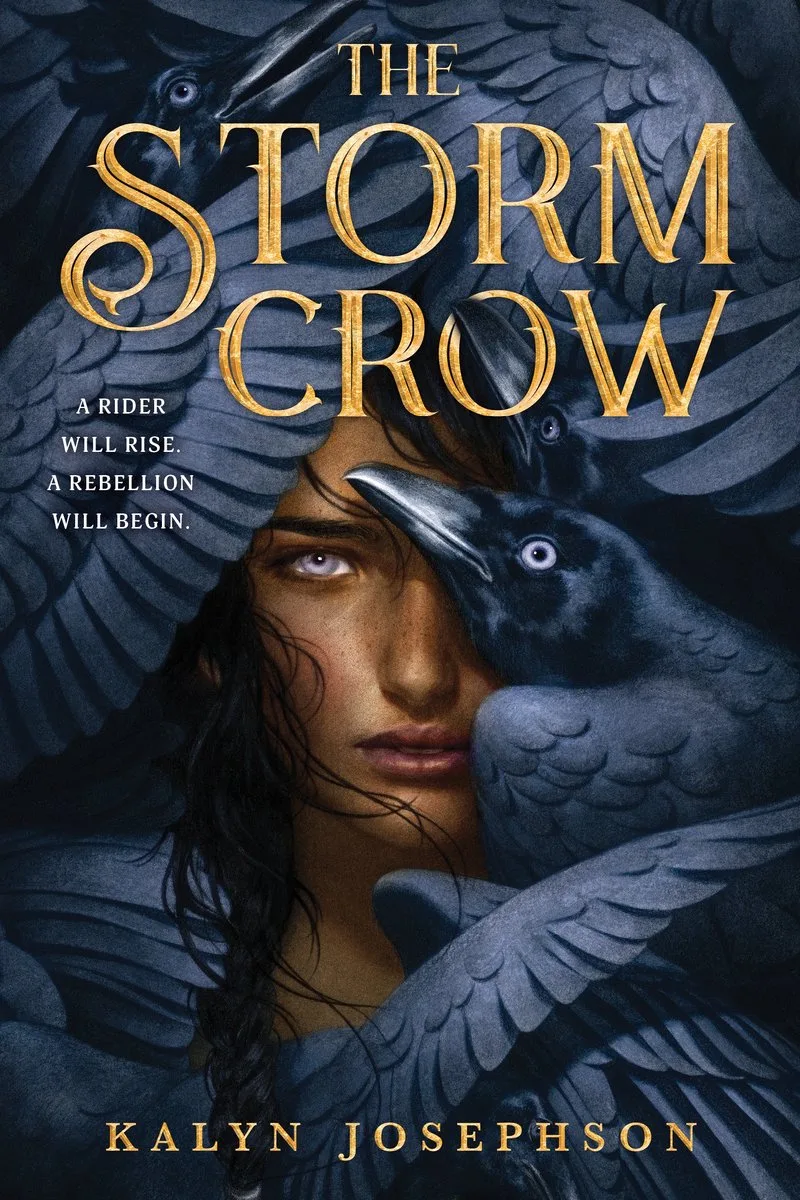 Storm Crow van Sourcebooks – boekfoto