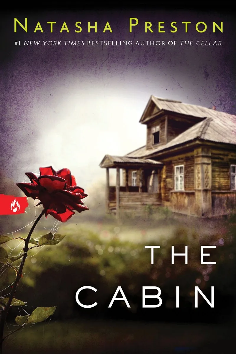 The Cabin fra Sourcebooks – billede af bogen