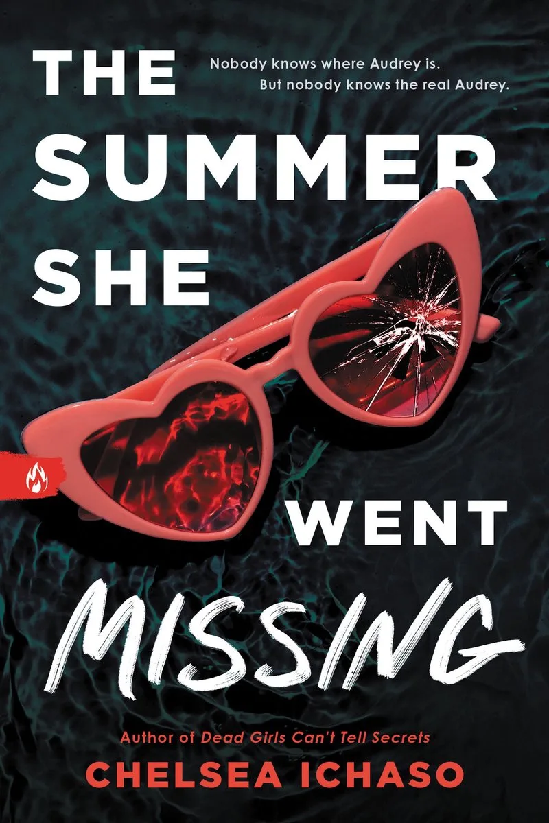 The Summer She Went Missing fra Sourcebooks – billede af bogen