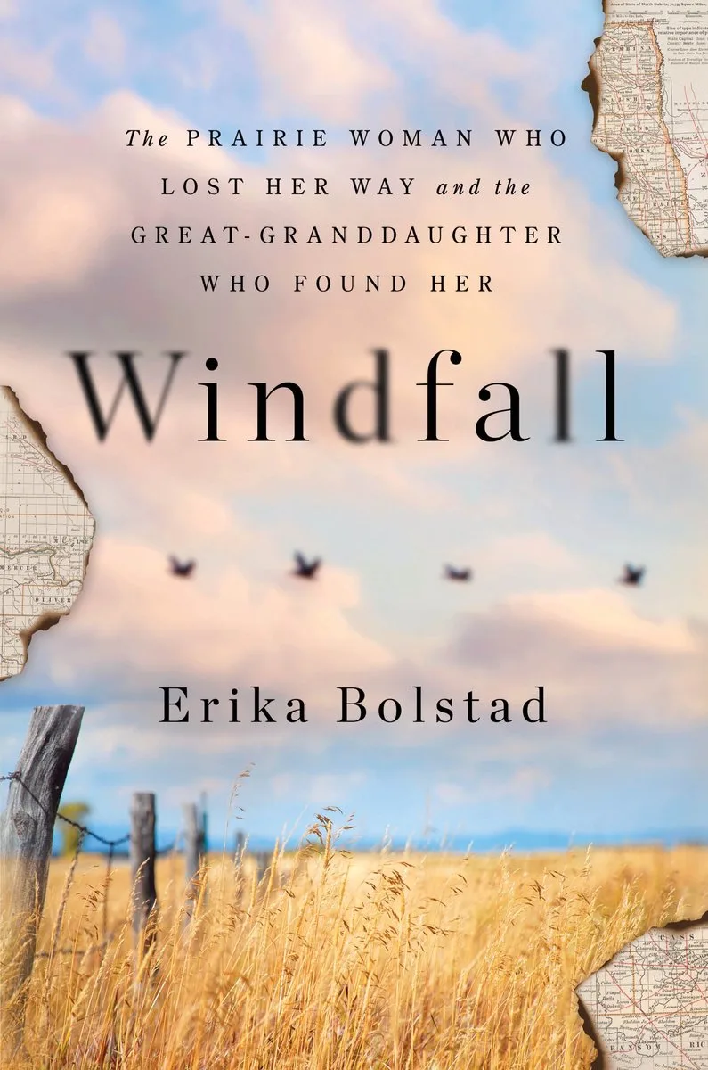Windfall fra Sourcebooks – billede af bogen