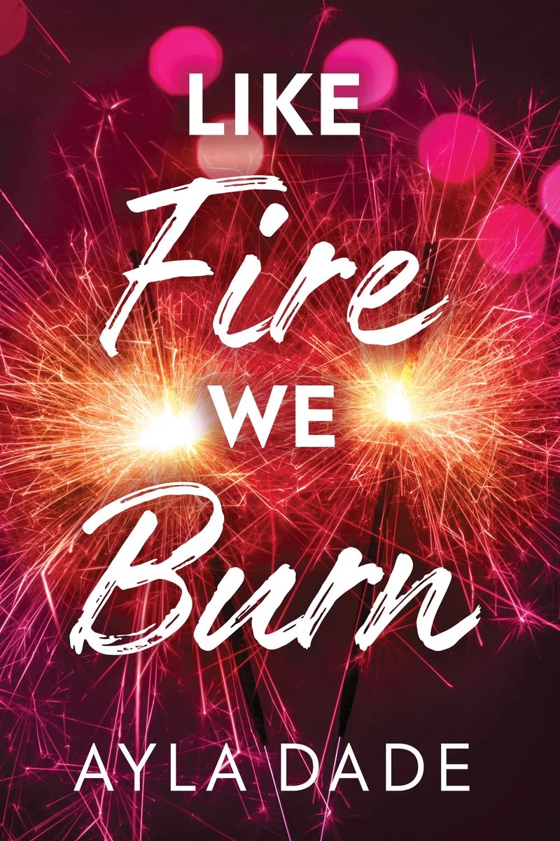 Winter Dreams- Like Fire We Burn fra Sourcebooks – billede af bogen