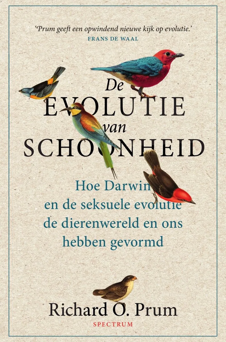 De evolutie van schoonheid von Spectrum – Buchfoto