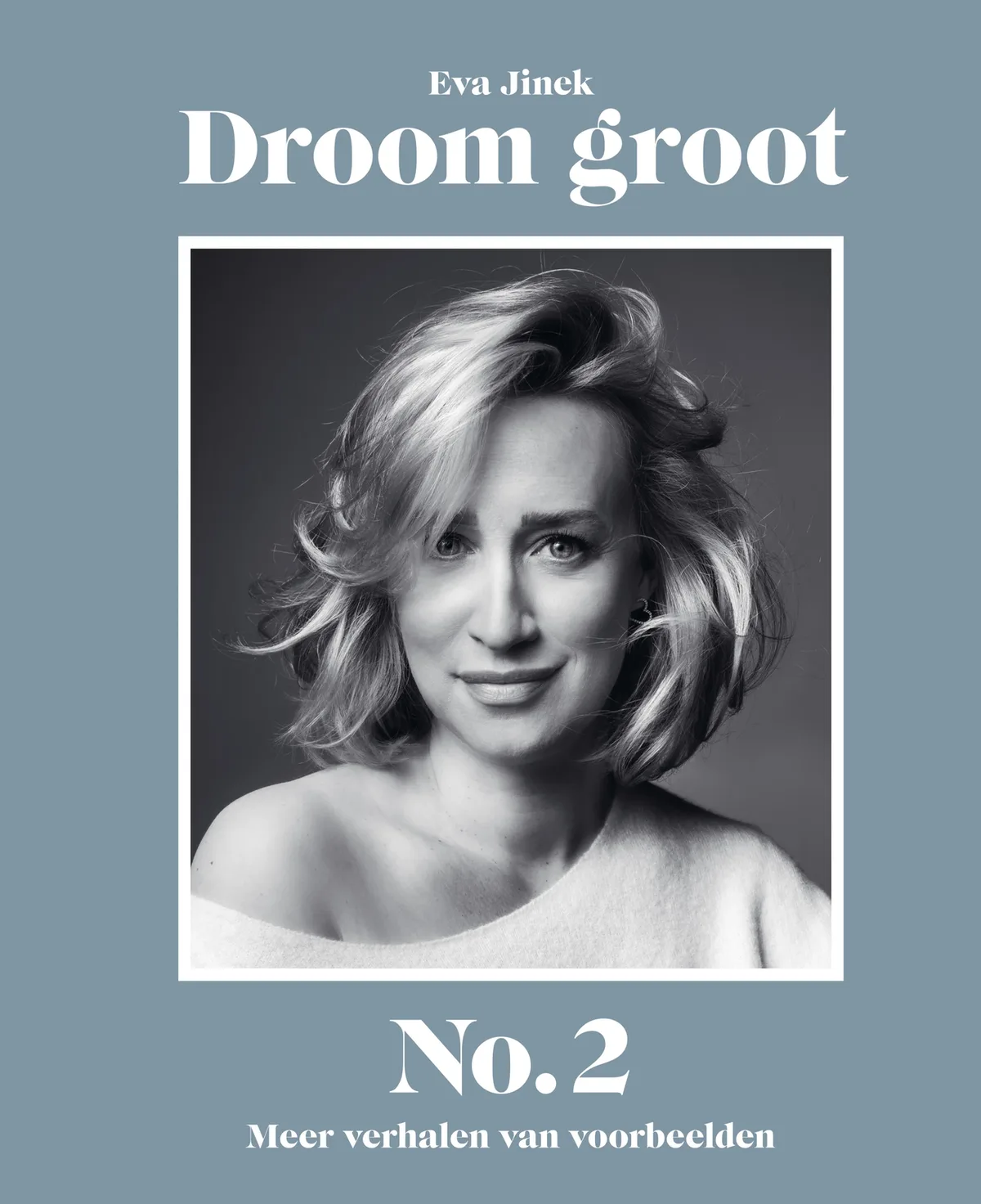 Droom groot No. 2 de Spectrum – photo du livre
