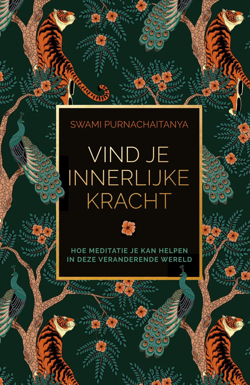 Vind je innerlijke kracht van Spectrum – boekfoto