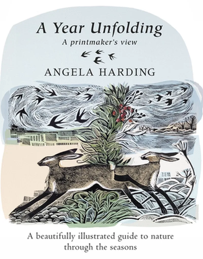 A Year Unfolding de Sphere – photo du livre